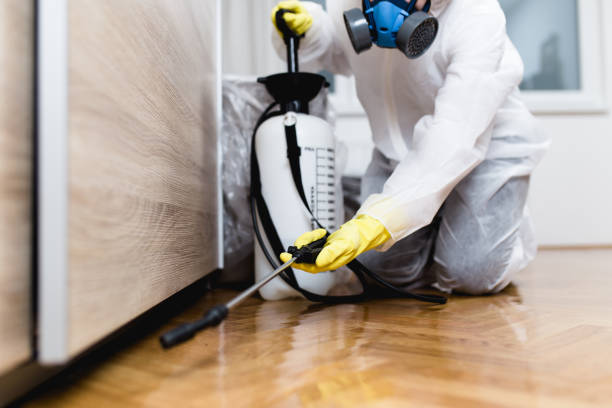 Best Residential Pest Control  in Scotts Hill, TN