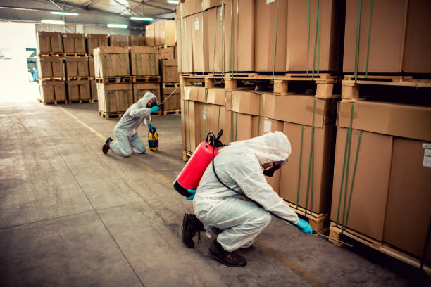 Best Bed Bug Extermination  in Scotts Hill, TN