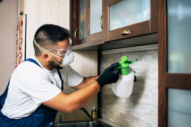 Best Pest Removal Services  in Scotts Hill, TN