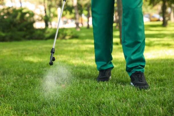 Best Ant Control Services  in Scotts Hill, TN