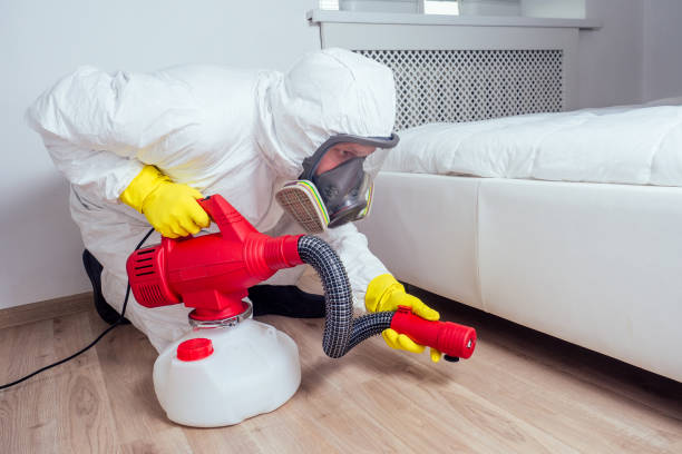 Best Mosquito Control Services  in Scotts Hill, TN