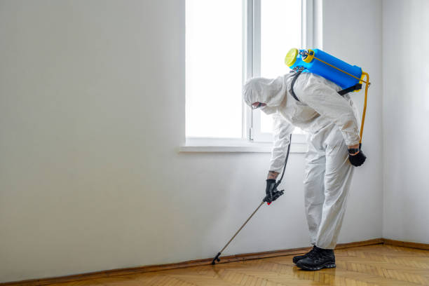 Wildlife Control Services in Scotts Hill, TN