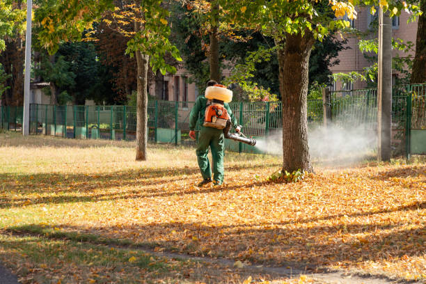 Bird Control in Scotts Hill, TN