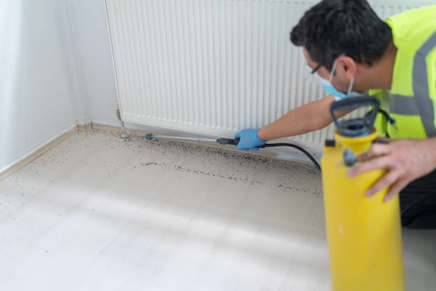 Best Exterminator Services  in Scotts Hill, TN